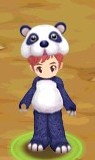 Costume da Panda (indossato)2.jpeg