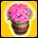 Vaso di quercia con fiori rosa