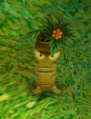 Ginseng.png